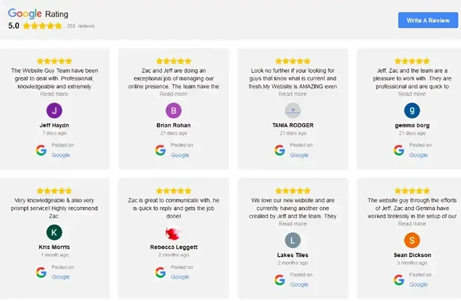 Google Business Reviews
